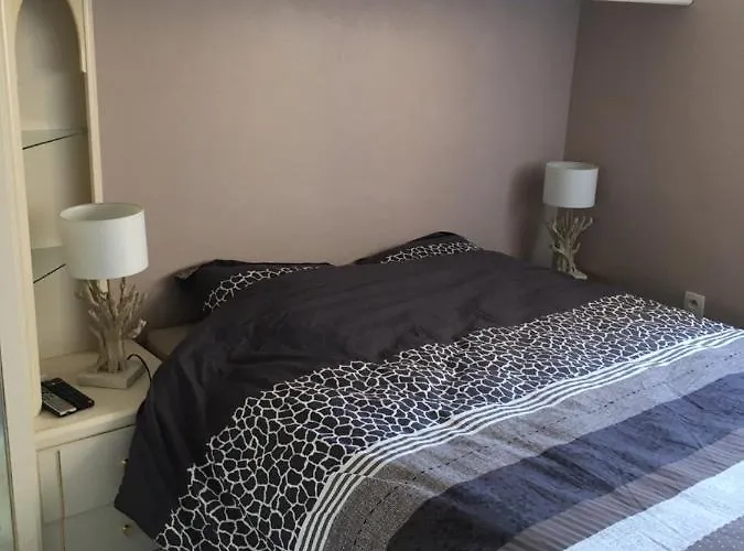 Mazet De La 54m2 Lavandou 100m Avec Piscine *