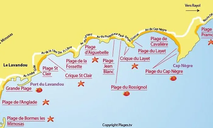Mazet De La 54m2 Lavandou 100m Avec Piscine * Le Lavandou